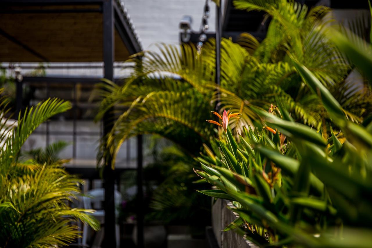 Alko Hotel Boutique Cali Eksteriør bilde